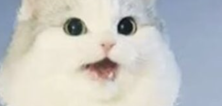 Memetic Monday: You Should Have Been Here Friday…